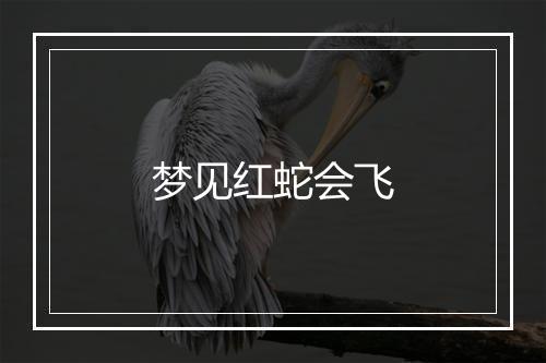 梦见红蛇会飞