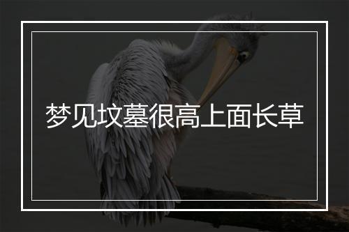 梦见坟墓很高上面长草