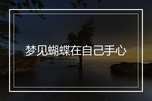 梦见蝴蝶在自己手心