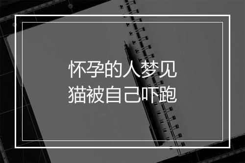 怀孕的人梦见猫被自己吓跑