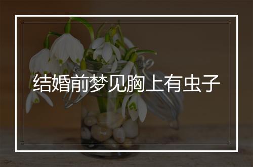 结婚前梦见胸上有虫子