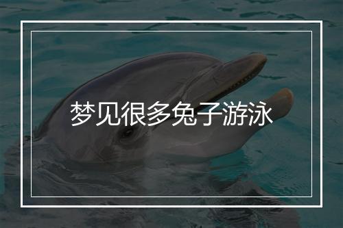 梦见很多兔子游泳