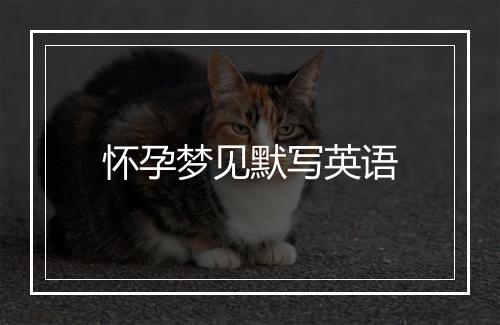 怀孕梦见默写英语