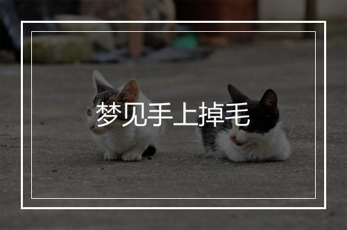 梦见手上掉毛