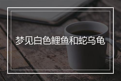 梦见白色鲤鱼和蛇乌龟