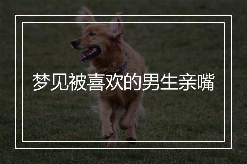 梦见被喜欢的男生亲嘴