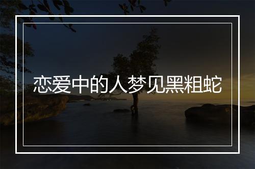 恋爱中的人梦见黑粗蛇