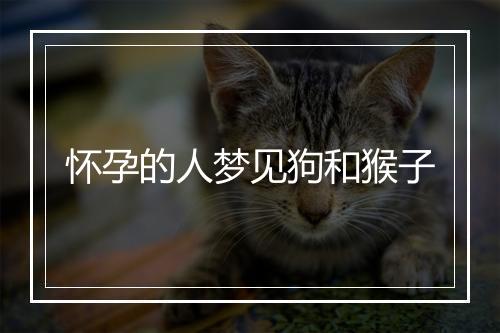 怀孕的人梦见狗和猴子