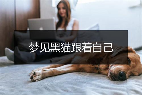 梦见黑猫跟着自己