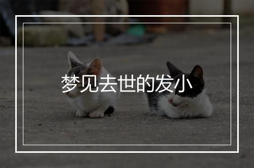 梦见去世的发小