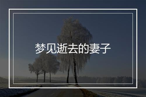 梦见逝去的妻子