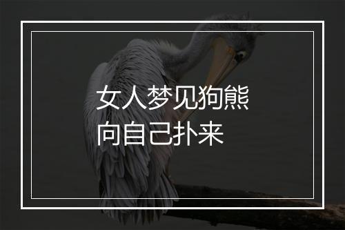 女人梦见狗熊向自己扑来