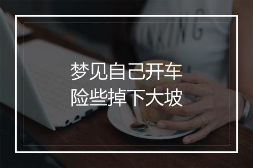 梦见自己开车险些掉下大坡