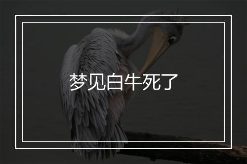 梦见白牛死了