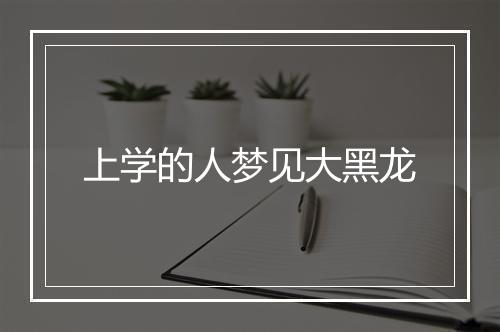 上学的人梦见大黑龙