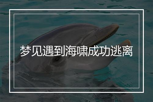 梦见遇到海啸成功逃离