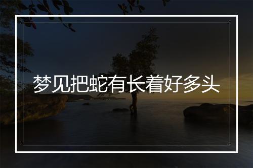 梦见把蛇有长着好多头