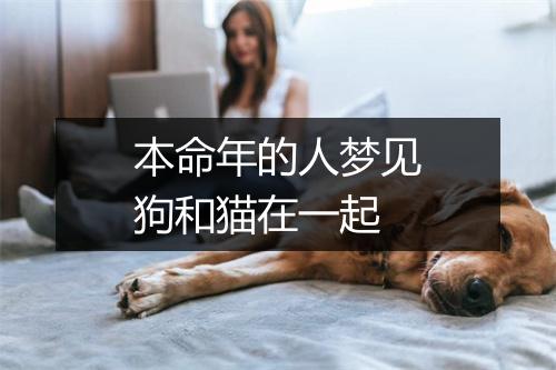 本命年的人梦见狗和猫在一起