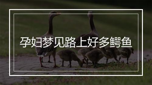 孕妇梦见路上好多鳄鱼