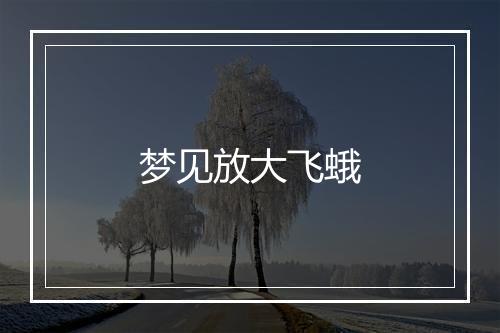 梦见放大飞蛾