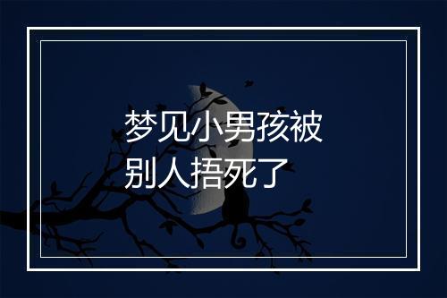 梦见小男孩被别人捂死了