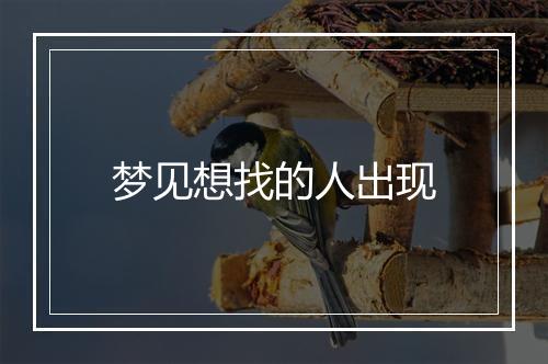 梦见想找的人出现