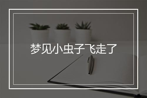 梦见小虫子飞走了