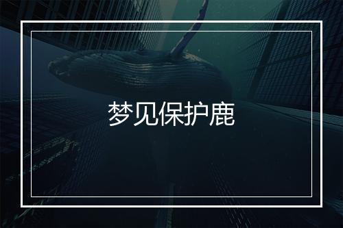 梦见保护鹿