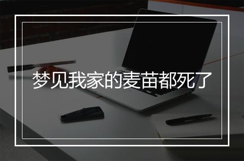 梦见我家的麦苗都死了