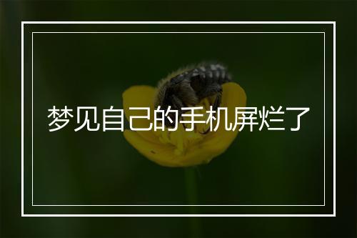 梦见自己的手机屏烂了