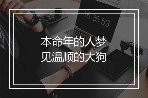 本命年的人梦见温顺的大狗