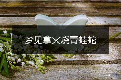 梦见拿火烧青蛙蛇