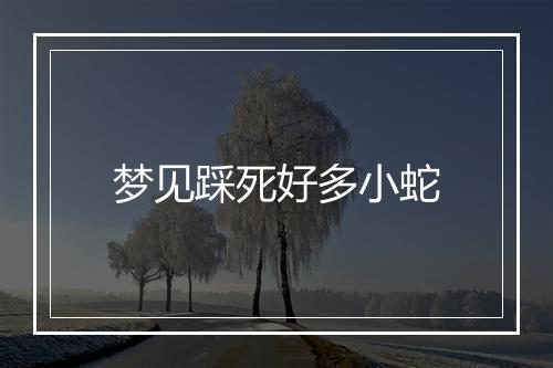 梦见踩死好多小蛇