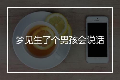 梦见生了个男孩会说话