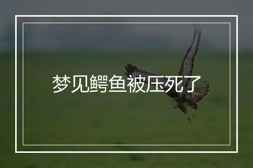 梦见鳄鱼被压死了