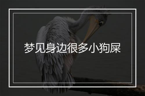 梦见身边很多小狗屎