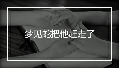 梦见蛇把他赶走了