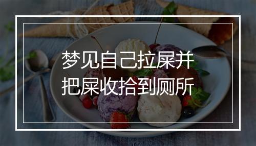 梦见自己拉屎并把屎收拾到厕所