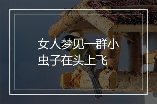 女人梦见一群小虫子在头上飞