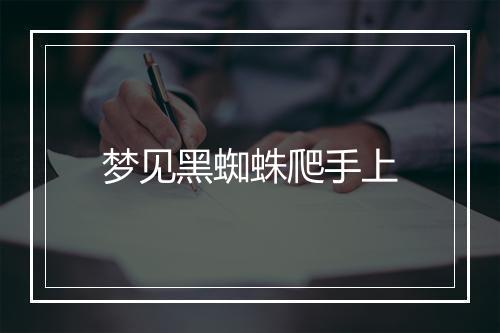 梦见黑蜘蛛爬手上