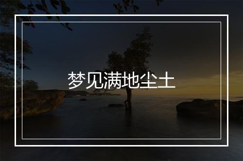 梦见满地尘土