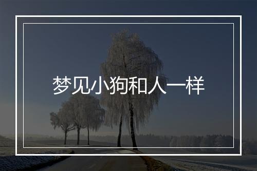 梦见小狗和人一样