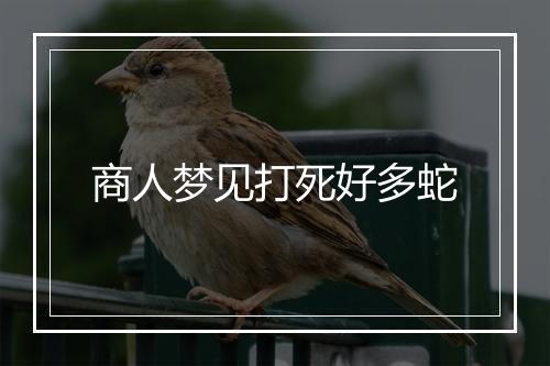 商人梦见打死好多蛇