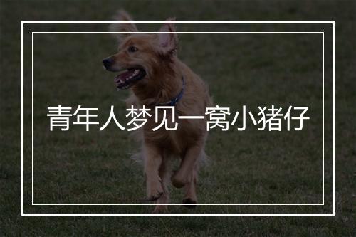 青年人梦见一窝小猪仔