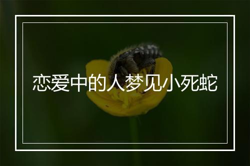 恋爱中的人梦见小死蛇