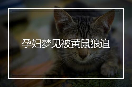 孕妇梦见被黄鼠狼追