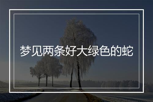 梦见两条好大绿色的蛇