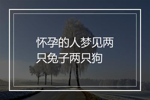 怀孕的人梦见两只兔子两只狗