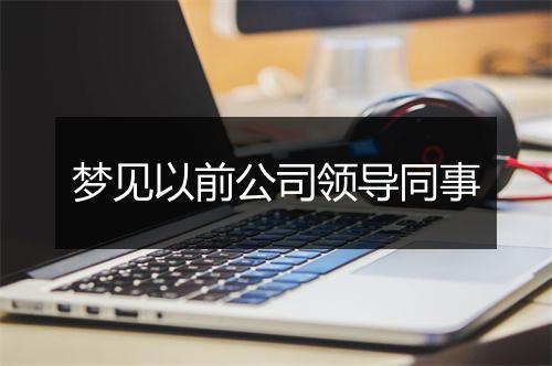 梦见以前公司领导同事