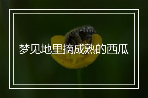 梦见地里摘成熟的西瓜